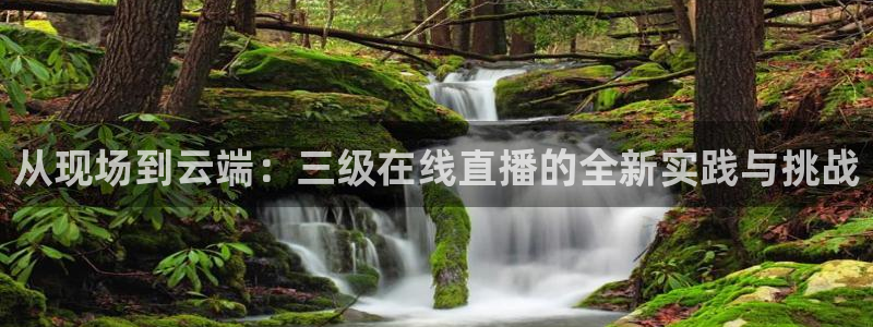 熊猫熊猫：从现场到云端：三级在线直播的全新实践与挑战