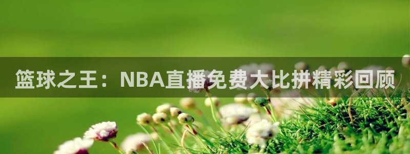 熊猫高清直播：篮球之王：NBA直播免费大比拼精彩回顾