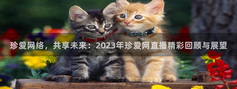 熊猫体育平台官网：珍爱网络，共享未来：2023年珍爱网直播精彩回顾与展望