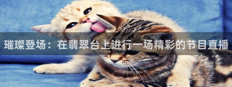 熊猫主播视频：璀璨登场：在翡翠台上进行一场精彩的节目直播