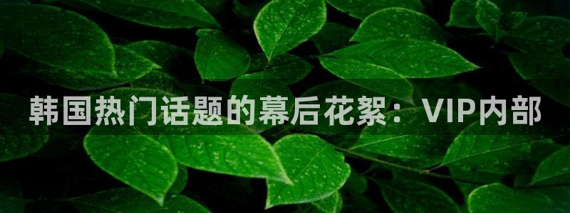 熊猫体育官网