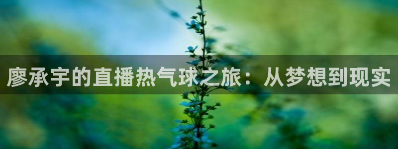 熊猫体育在线：廖承宇的直播热气球之旅：从梦想到现实