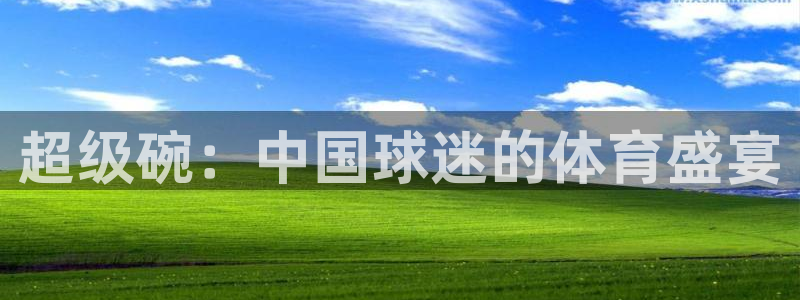 熊猫体育手机版：超级碗：中国球迷的体育盛宴
