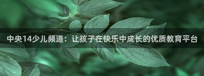 熊猫体育在线观看：中央14少儿频道：让孩子在快乐中成长的优质教育平台