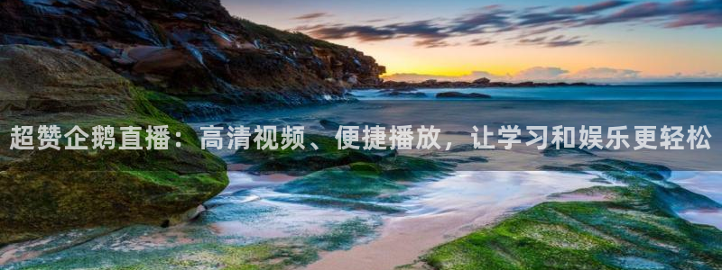 直播熊猫：超赞企鹅直播：高清视频、便捷播放，让学习和娱乐更轻松