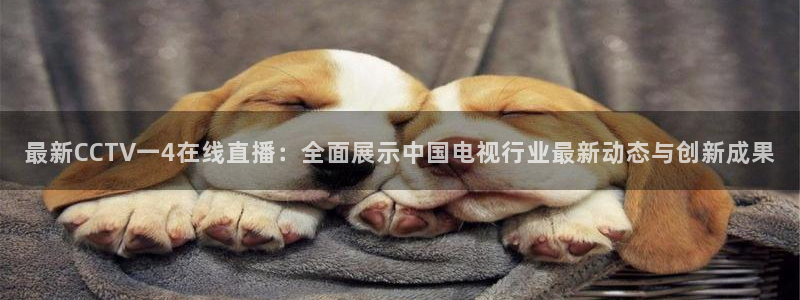熊猫体育在线直播app：最新CCTV一4在线直播：全面展示中国电视行业最新动态与创新成果