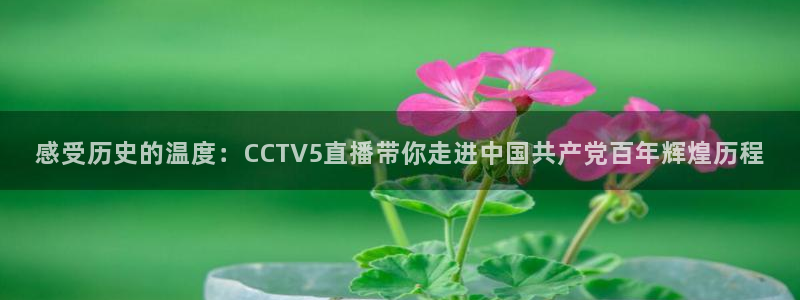 熊猫在线直播：感受历史的温度：CCTV5直播带你走进中国共产党百年辉煌历程