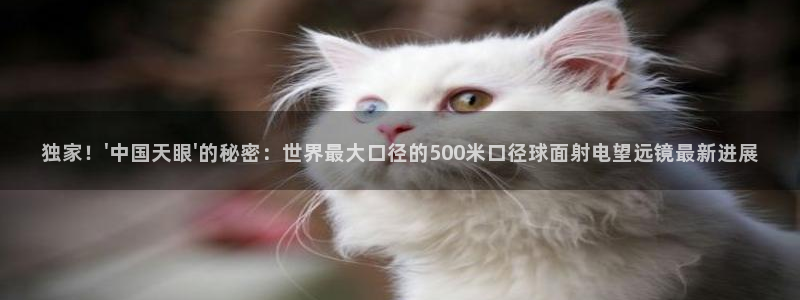熊猫体育直播下载：独家！\'中国天眼\'的秘密：世界最大口径的500米口径球面射电望远镜最新进展