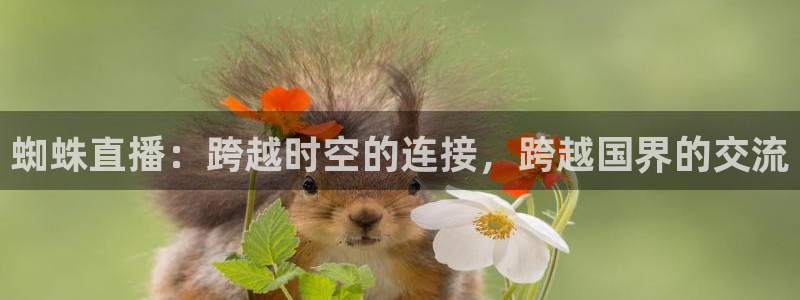 直播平台 熊猫：蜘蛛直播：跨越时空的连接，跨越国界的交流