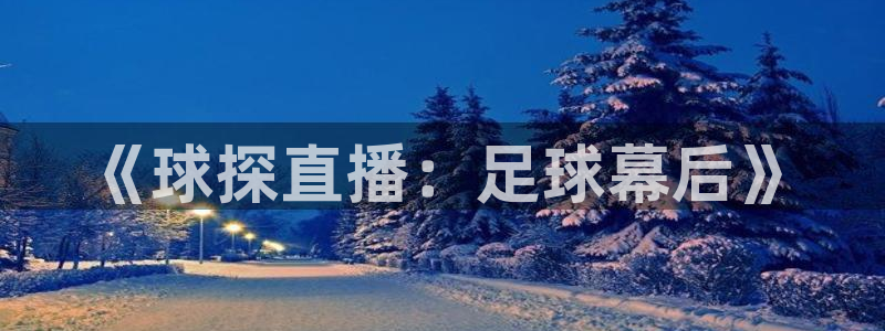 熊猫体育app下载：《球探直播：足球幕后》